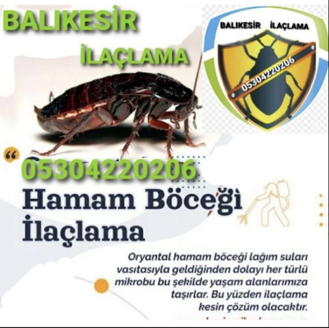 Hamam Böcekleri Neden Eve Girer?e