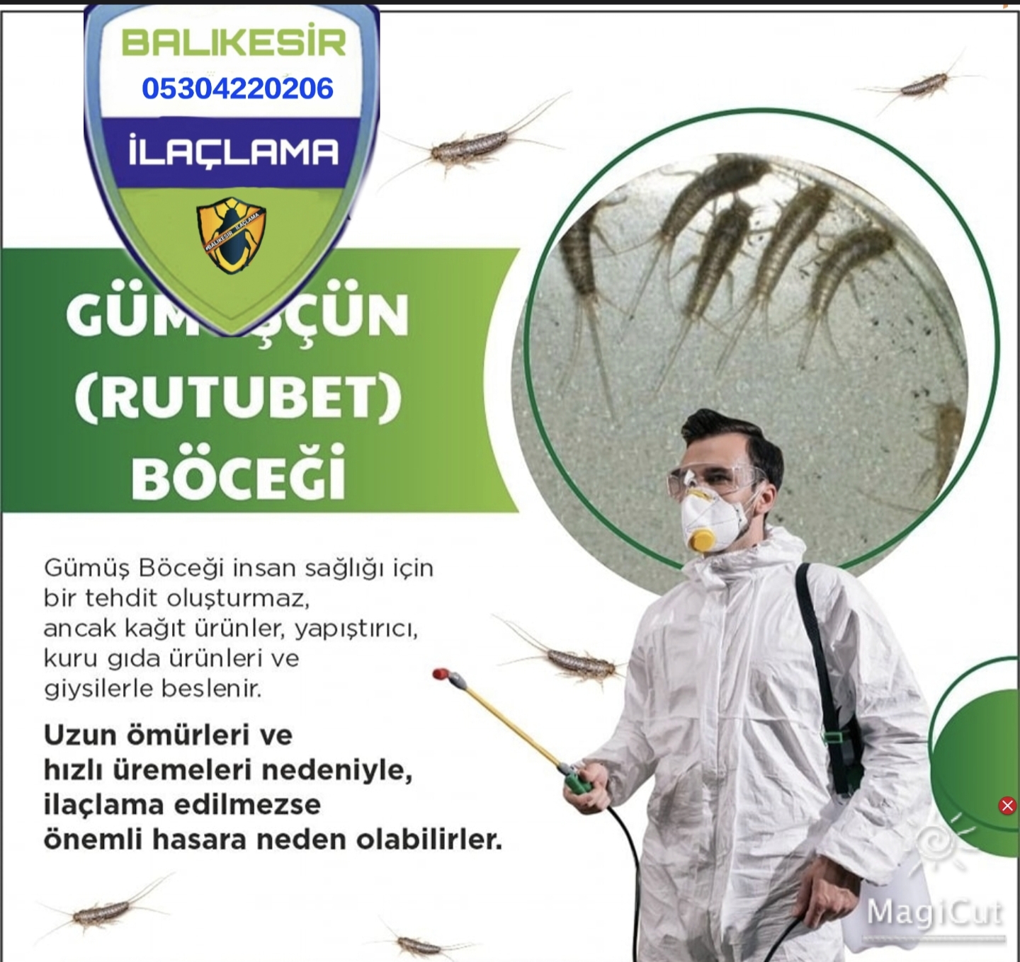 Altıeylül Böcek ilaçlama 05304220206
